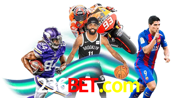 236bet.com